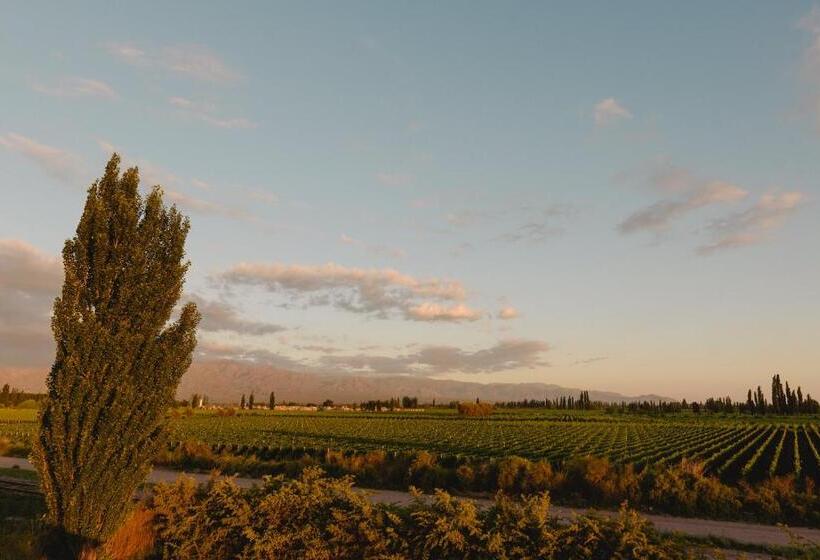 تختخواب و صبحانه Villa Trinidad Guesthouse