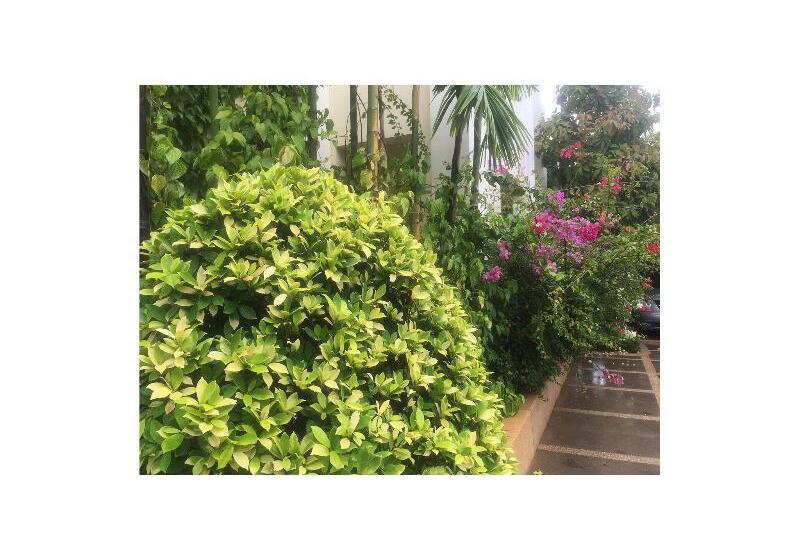 Отель De La Renaissance