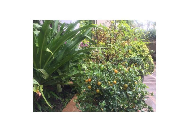 ホテル De La Renaissance