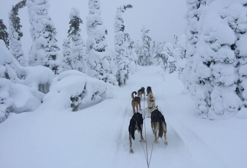 בית מלון כפרי Li Ujevaara