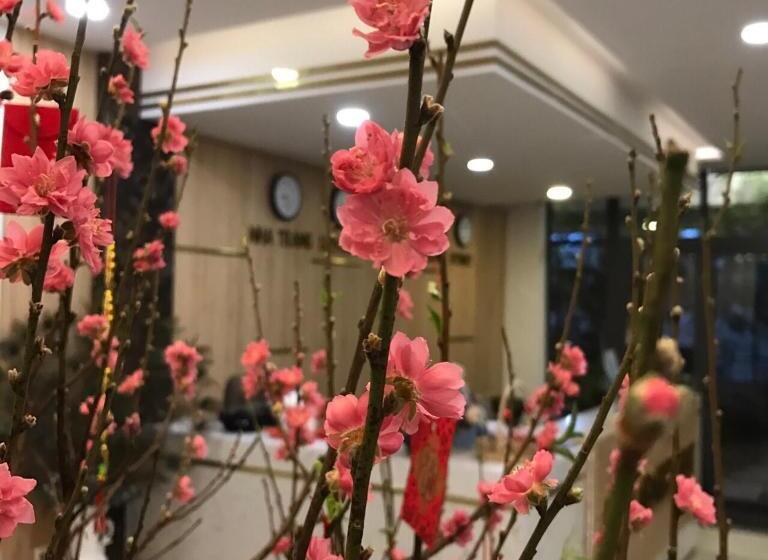 هتل Lily Apartment