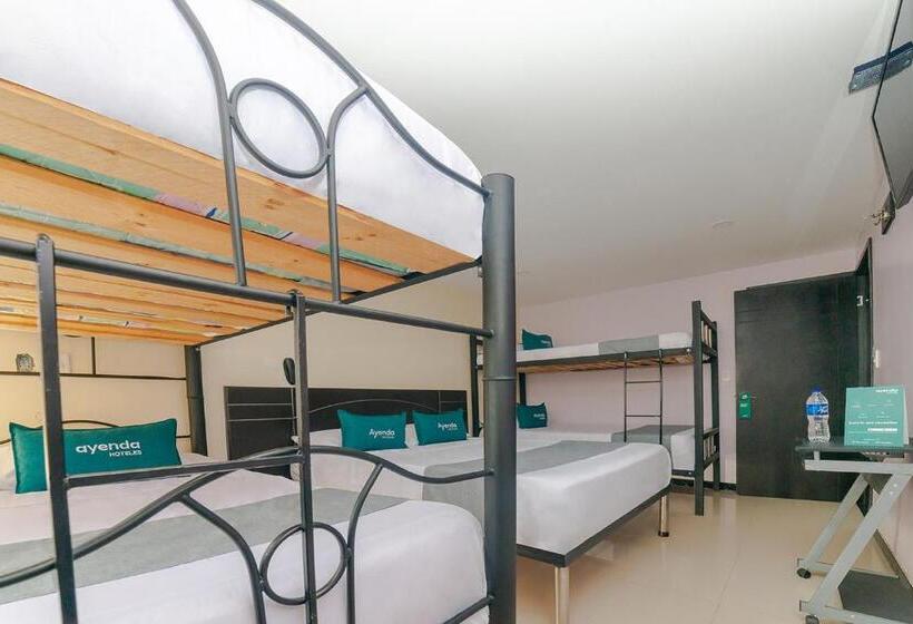 בית מלון כפרי Ayenda Balcon Real