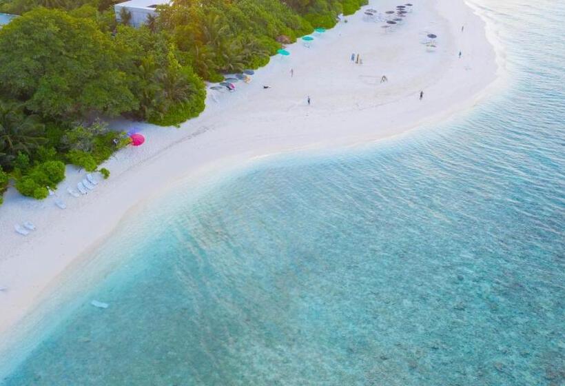 پانسیون Trip Villa