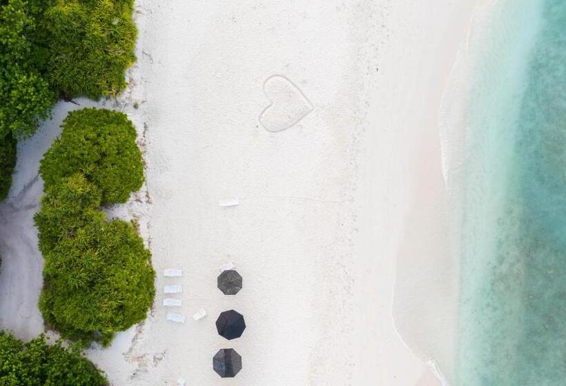 پانسیون Trip Villa