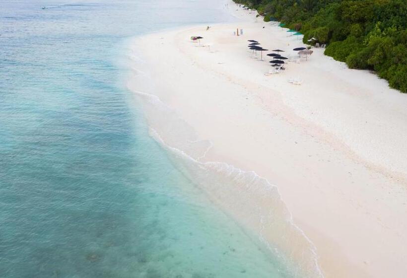 پانسیون Trip Villa