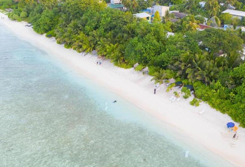 پانسیون Trip Villa