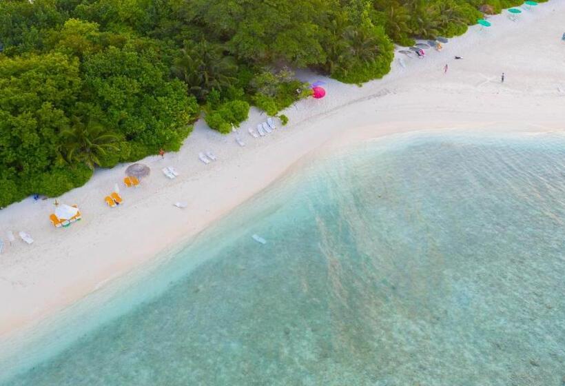 پانسیون Trip Villa