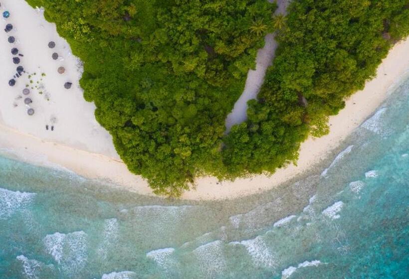 پانسیون Trip Villa