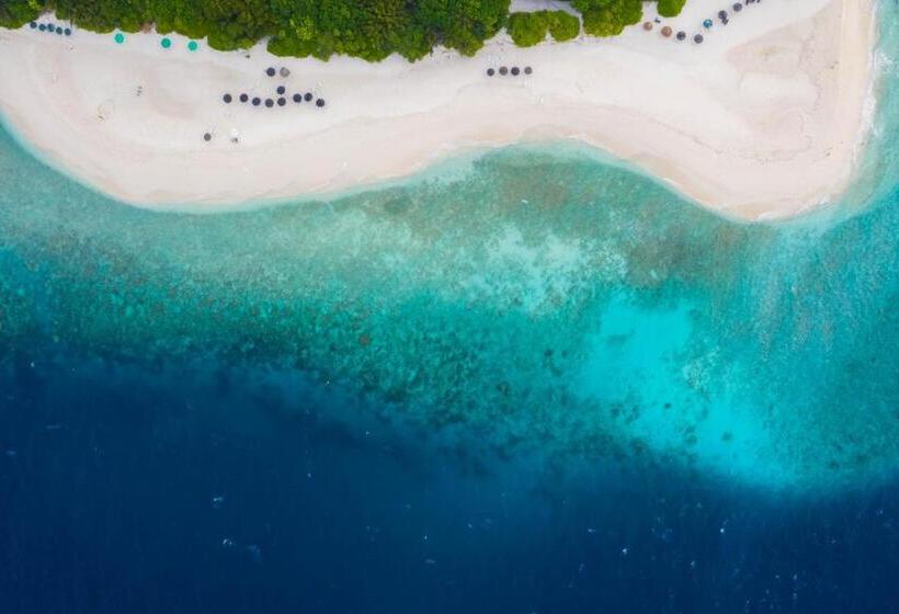 پانسیون Trip Villa