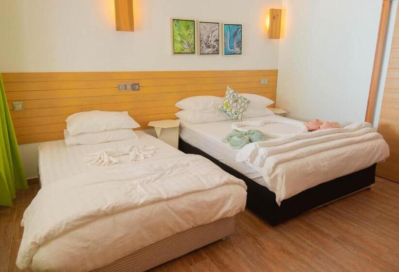 پانسیون Trip Villa