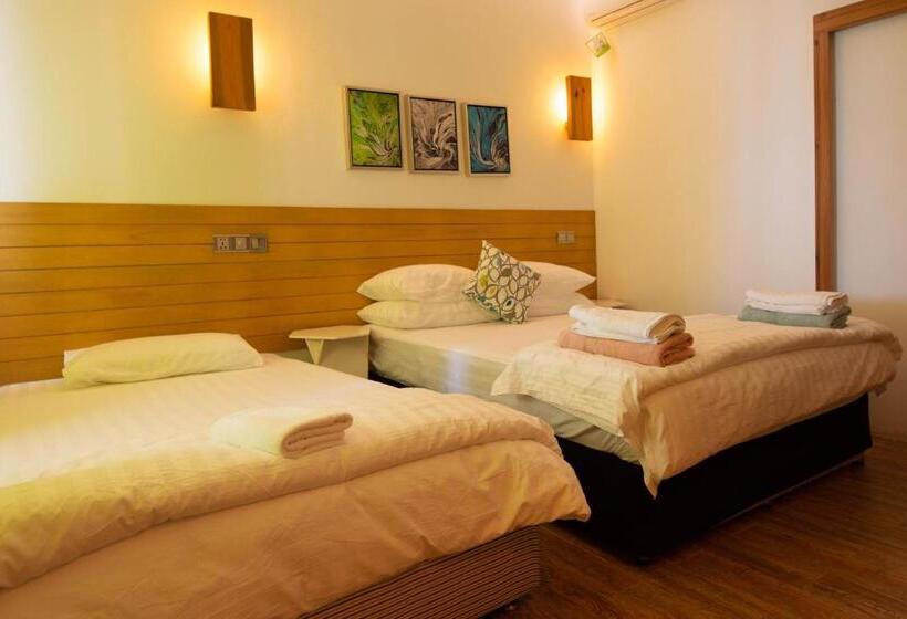 پانسیون Trip Villa