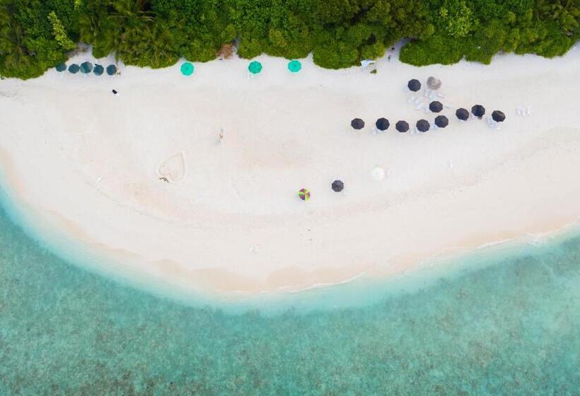 پانسیون Trip Villa