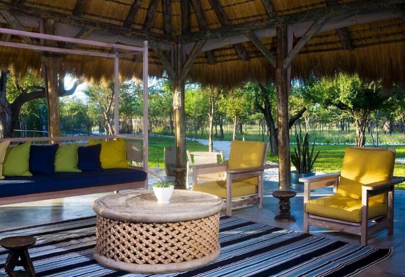 אתר נופש Mushara Bush Camp