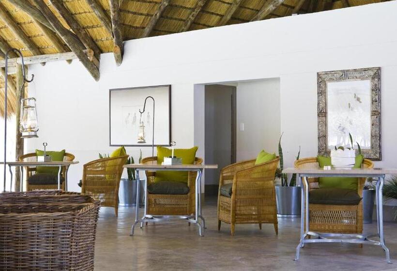 אתר נופש Mushara Bush Camp