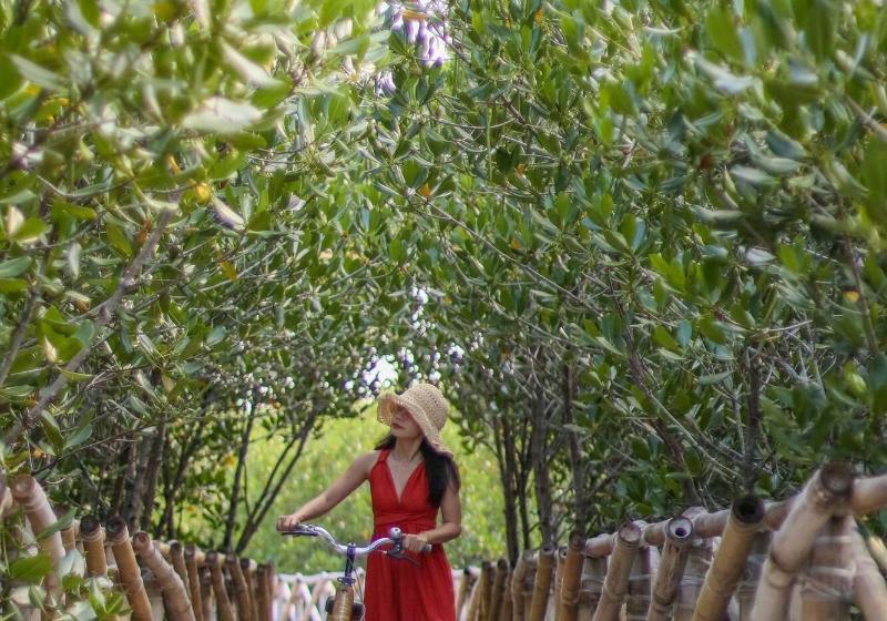 استراحتگاه North Zen Villas