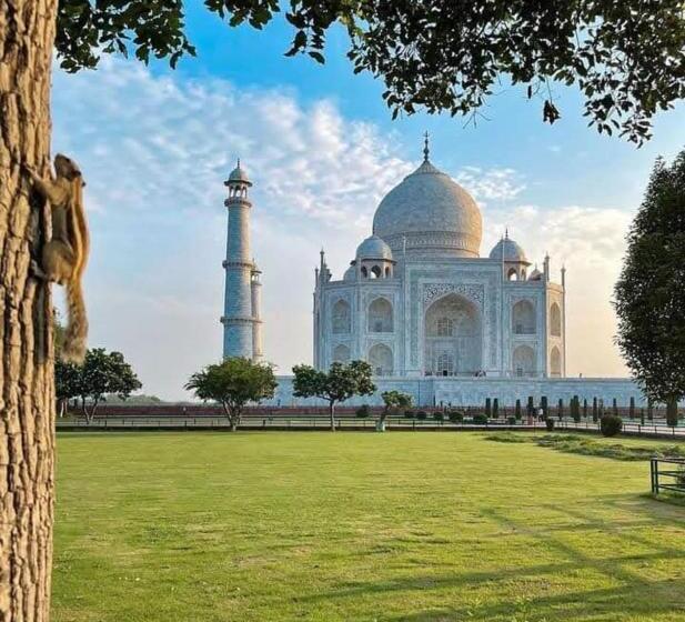 هاستل Zigzag Homestay