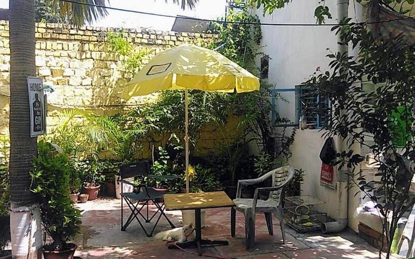 هاستل Zigzag Homestay