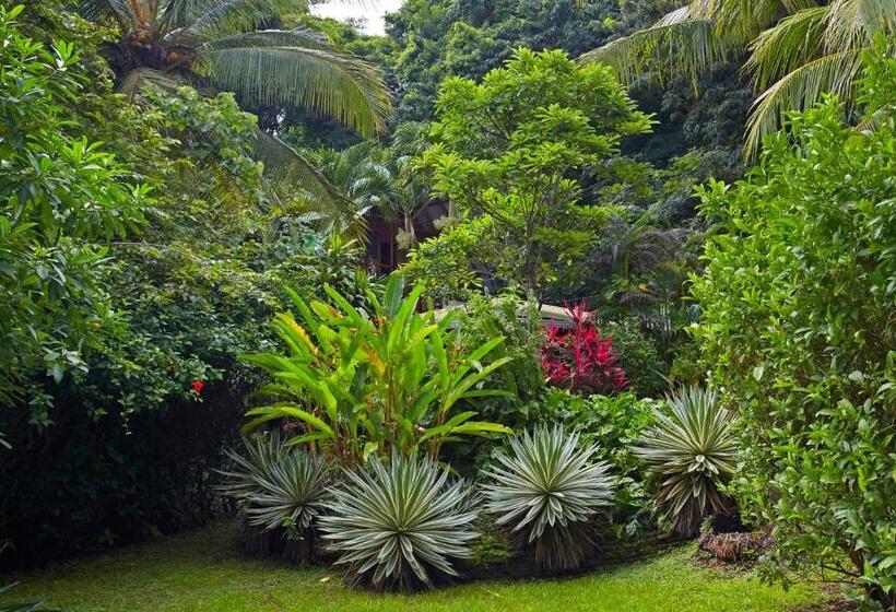 호텔 Entre Dos Aguas