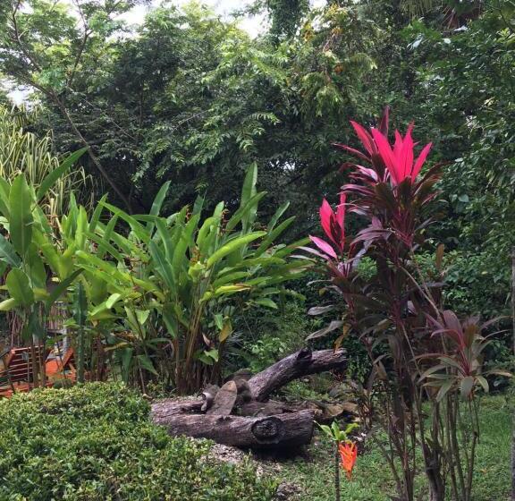 호텔 Entre Dos Aguas