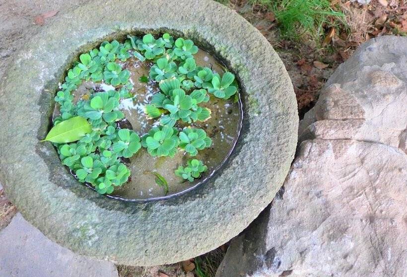 酒店 Gallery Family