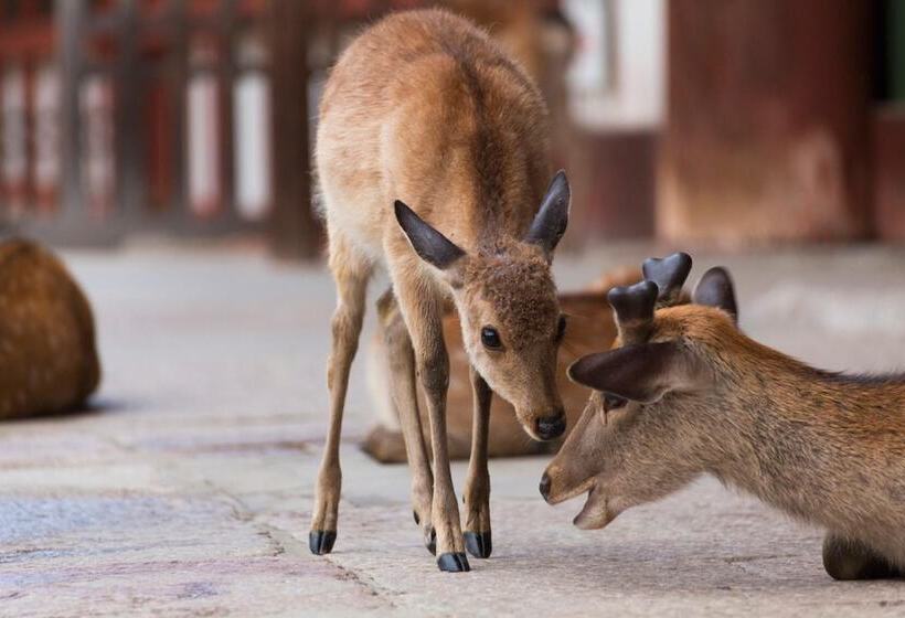 Nipponia Hotel Nara Naramachi