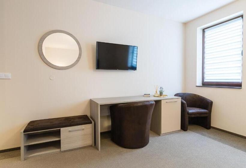 酒店 Pensiunea Select Central