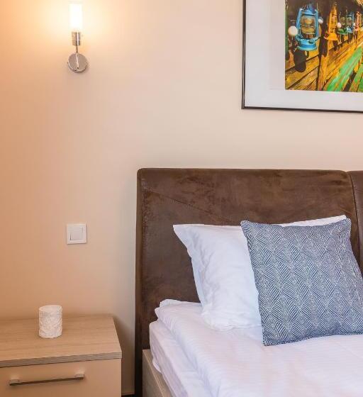 酒店 Pensiunea Select Central