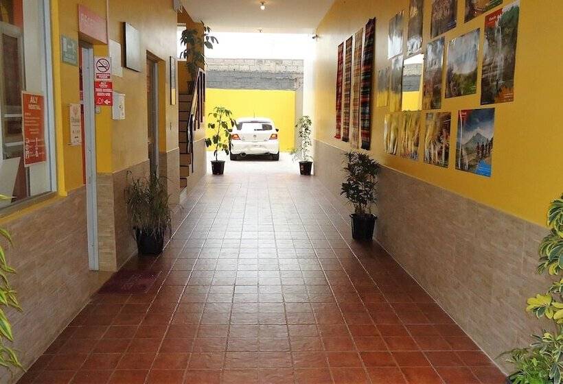 پانسیون Hostal Aly 2