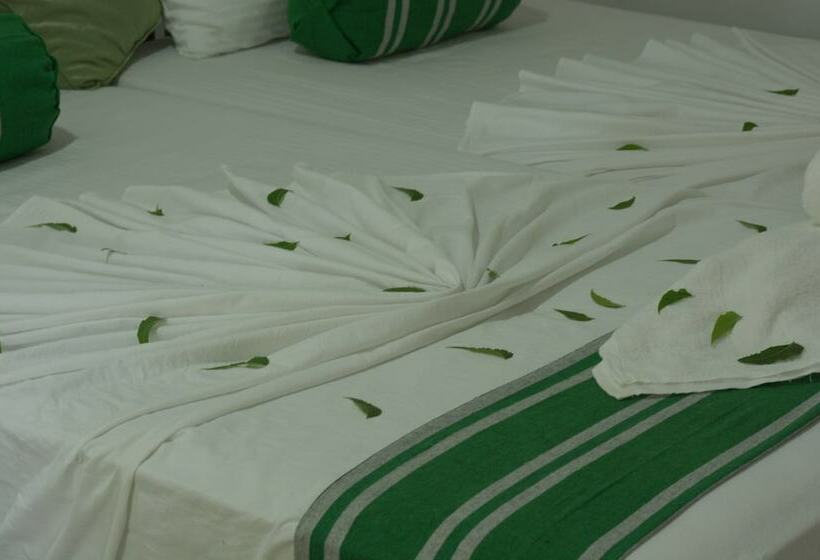 膳宿费 Kadulla Villa