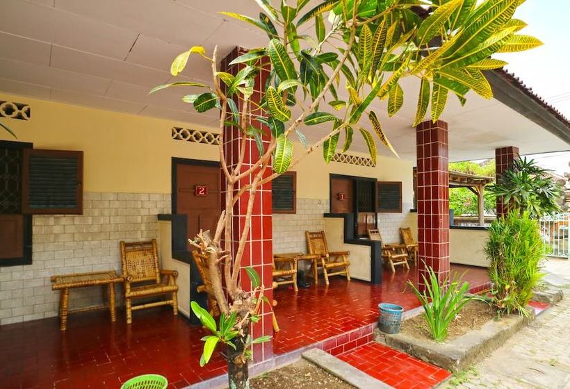 بنسيون Mawar 2