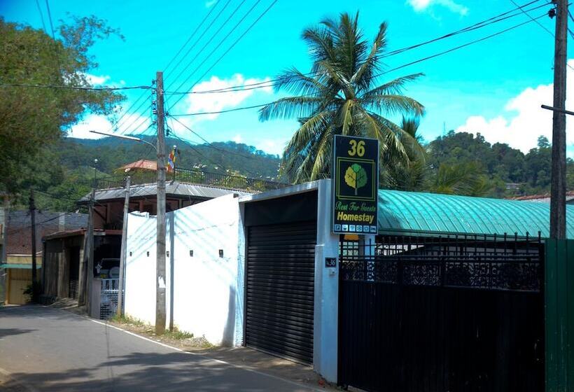 بنسيون Rest For Guests   Homestay