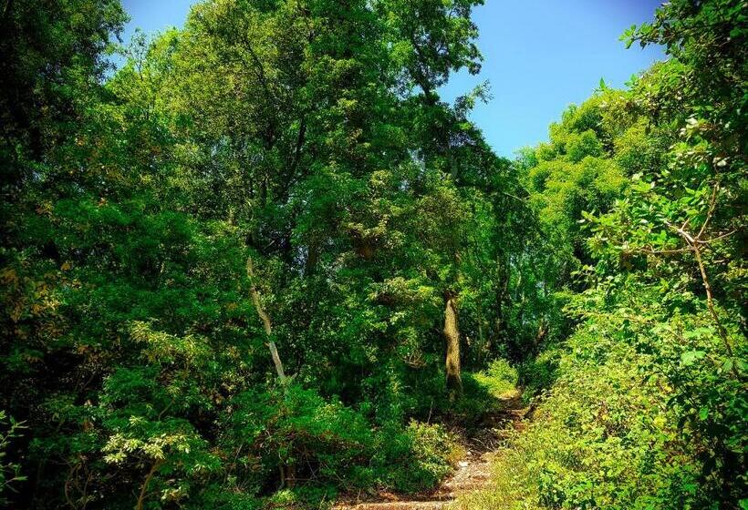 펜션 Timbertop Suites   Adults Only