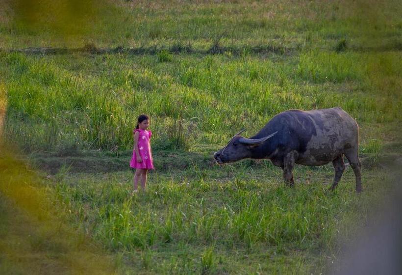 استراحتگاه Phong Nha Farmstay