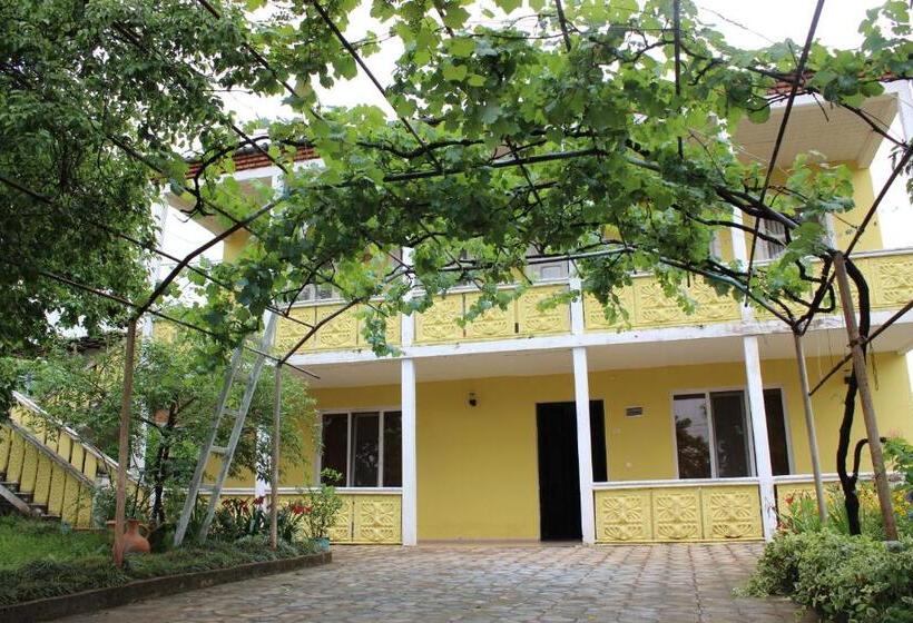 پانسیون Guest House Maspindzeli