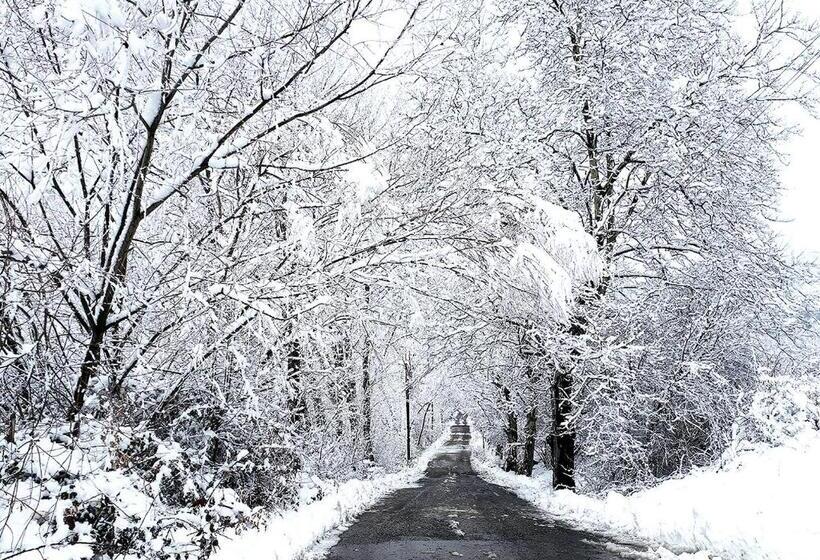 Пансион Hostal Fonda Prat