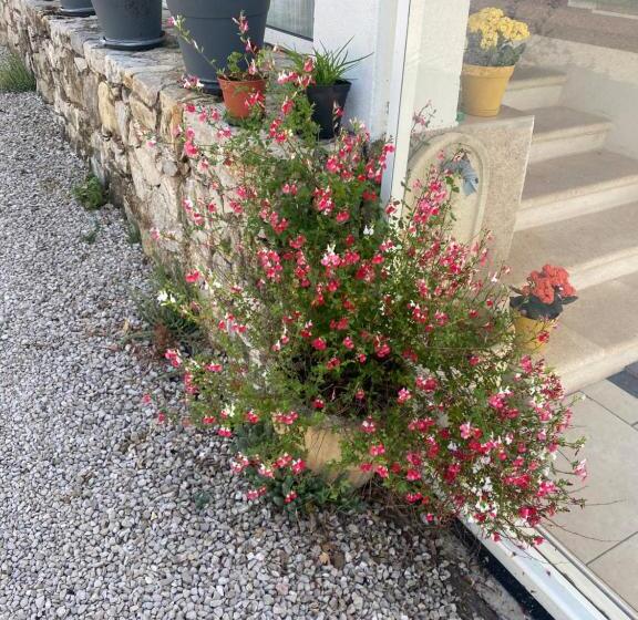 Пансион Lou Soleou