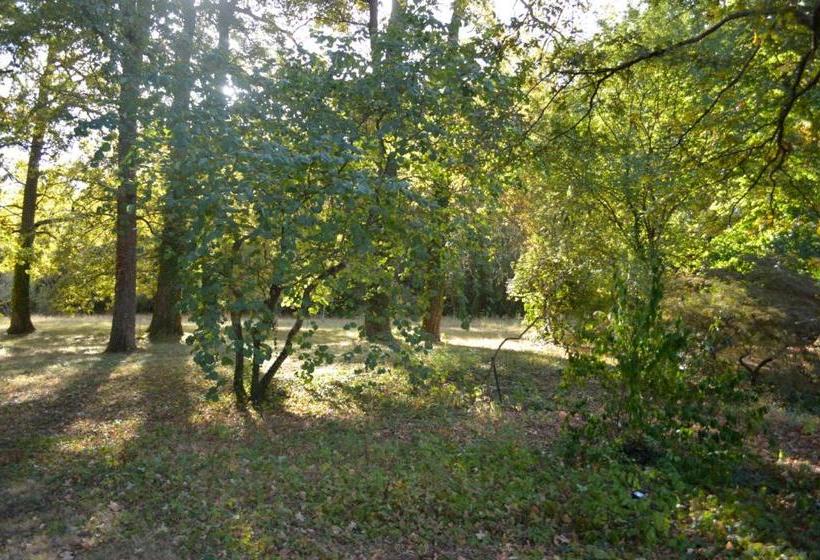 Pensione Zenbreak Chambre Vue Sur Parc