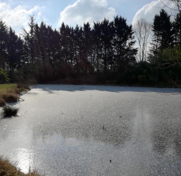 Pensione Zenbreak Chambre Vue Sur Parc