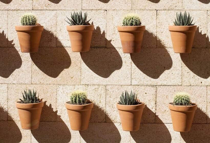 Отель Angels Boutique   Turismo De Interior