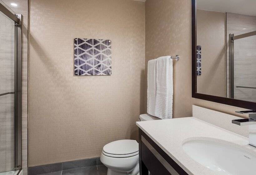 酒店 Best Western Plus Philadelphiapennsauken