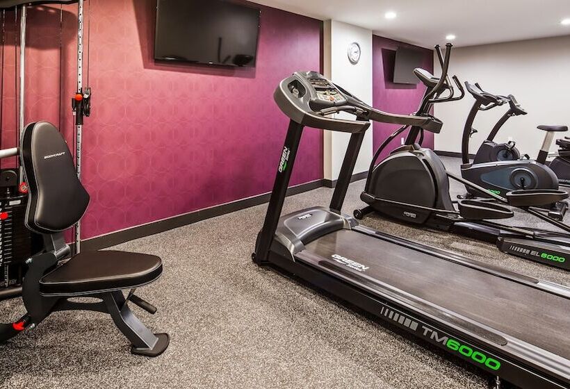 فندق Best Western Plus Stadium Inn