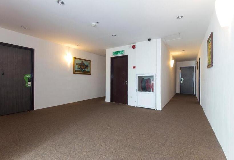 酒店 Oyo 442 Marvelton