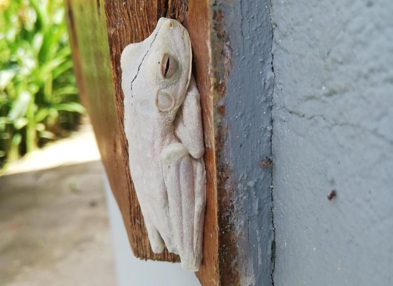 پانسیون Karandi Hostel