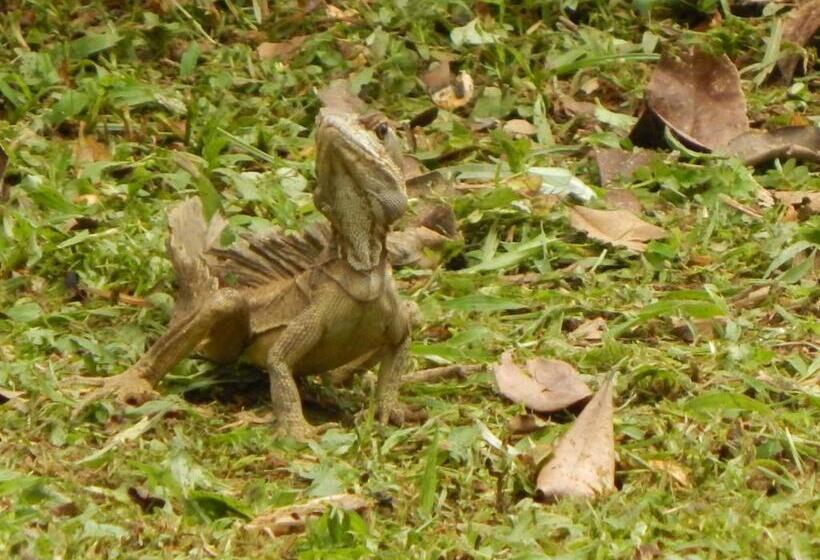 پانسیون Karandi Hostel