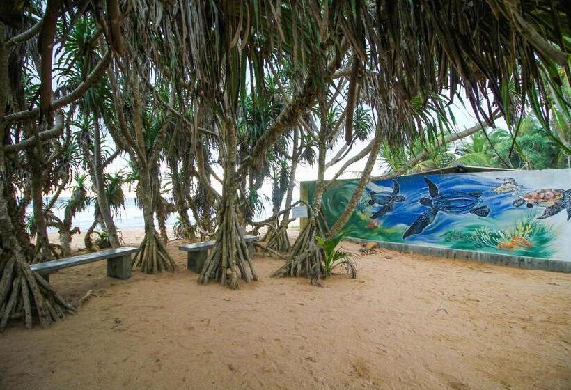 膳宿费 Sea Beach Inn