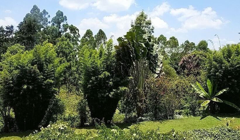 Пансион Zereniti House