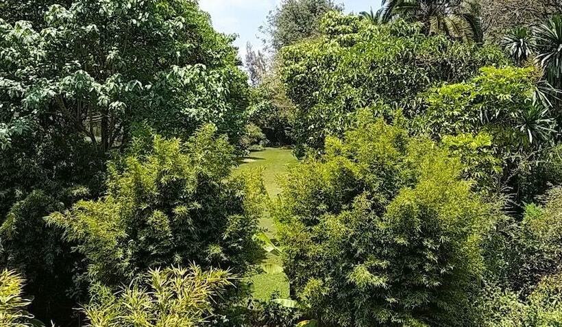 Пансион Zereniti House