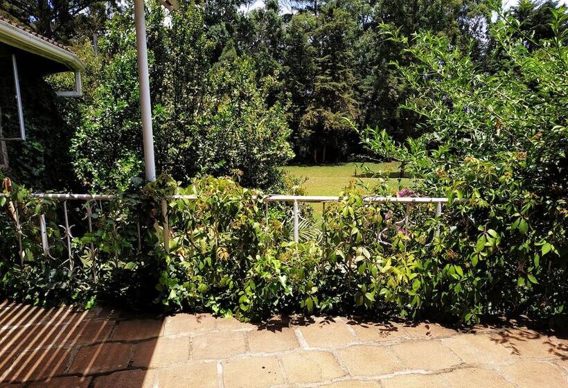 Пансион Zereniti House