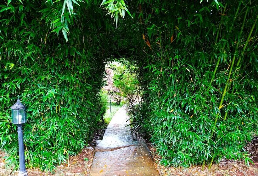 Пансион Zereniti House