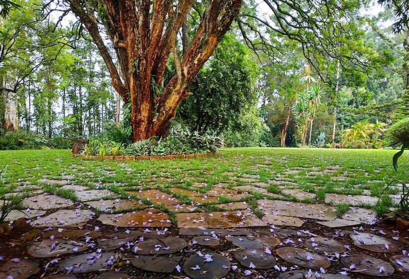 Пансион Zereniti House